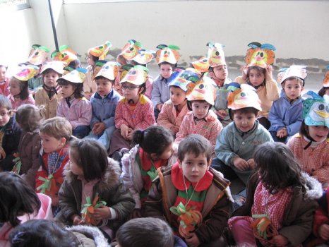 Preme para ver a foto ampliada