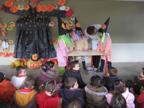 Preme para ver a foto ampliada