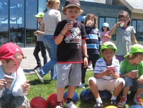 Preme para ver a foto ampliada