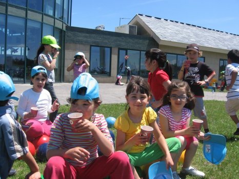 Preme para ver a foto ampliada