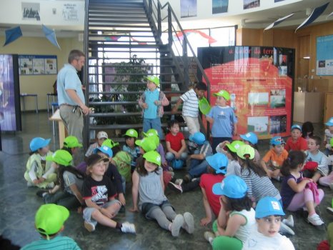 Preme para ver a foto ampliada