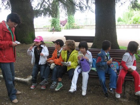 Preme para ver a foto ampliada