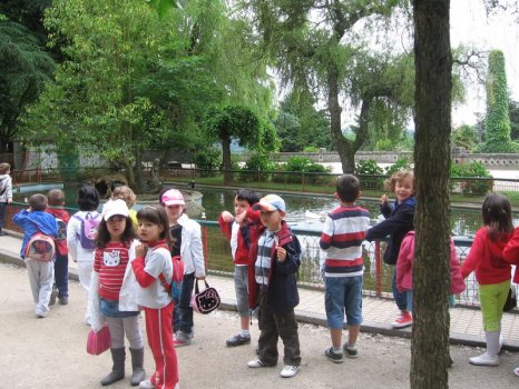 Preme para ver a foto ampliada