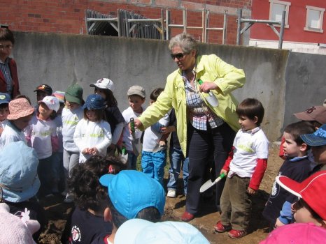 Preme para ver a foto ampliada