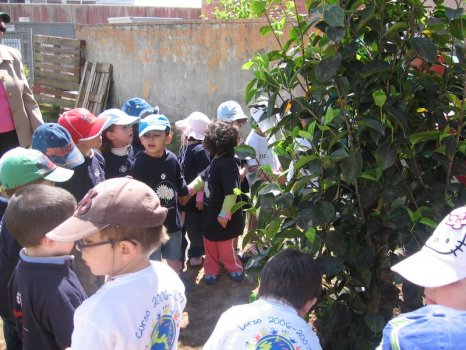 Preme para ver a foto ampliada