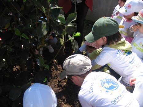 Preme para ver a foto ampliada