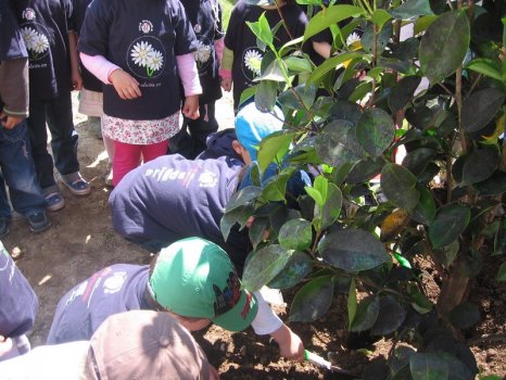 Preme para ver a foto ampliada