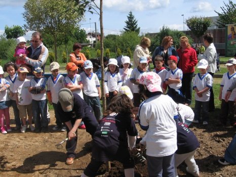 Preme para ver a foto ampliada