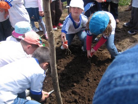 Preme para ver a foto ampliada
