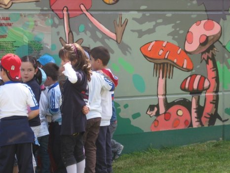 Preme para ver a foto ampliada