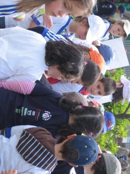 Preme para ver a foto ampliada