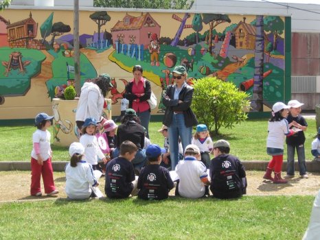 Preme para ver a foto ampliada