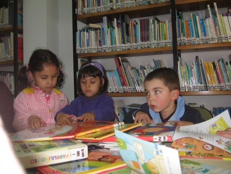 Preme para ver a foto ampliada