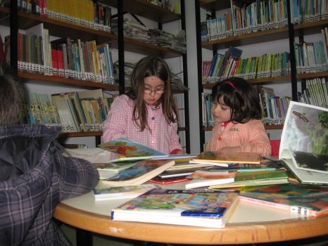 Preme para ver a foto ampliada