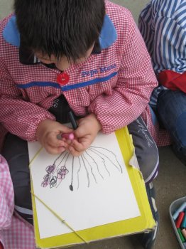 Preme para ver a foto ampliada