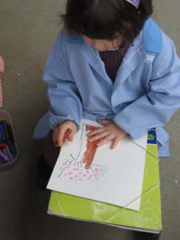 Preme para ver a foto ampliada