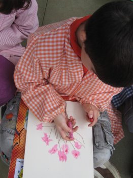 Preme para ver a foto ampliada