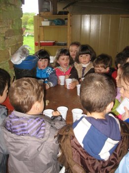 Preme para ver a foto ampliada