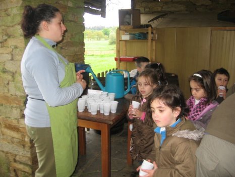 Preme para ver a foto ampliada