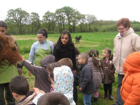 Preme para ver a foto ampliada
