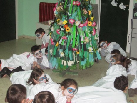 Preme para ver a foto ampliada