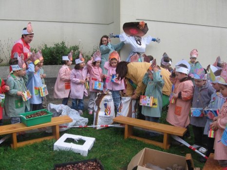 Preme para ver a foto ampliada