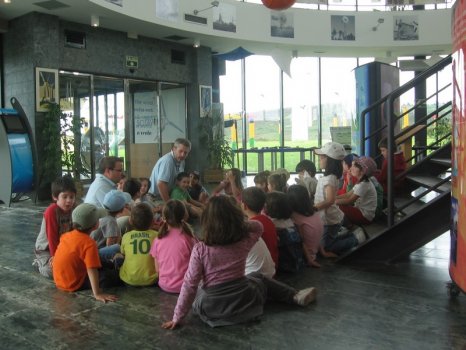 Preme para ver a foto ampliada