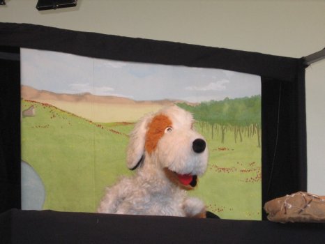 Preme para ver a foto ampliada