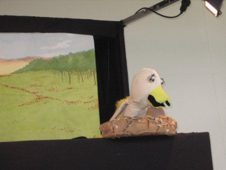 Preme para ver a foto ampliada