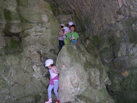 Preme para ver a foto ampliada