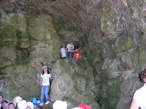 Preme para ver a foto ampliada