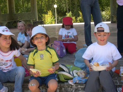 Preme para ver a foto ampliada