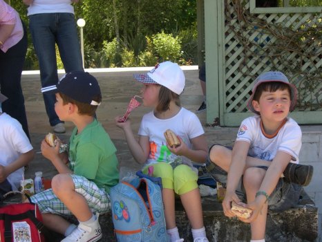 Preme para ver a foto ampliada