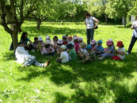 Preme para ver a foto ampliada