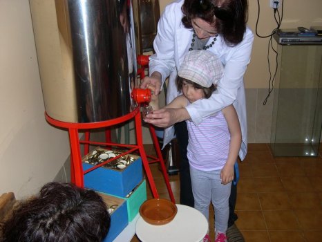 Preme para ver a foto ampliada