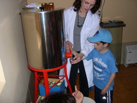 Preme para ver a foto ampliada