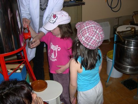 Preme para ver a foto ampliada