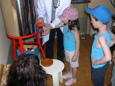 Preme para ver a foto ampliada