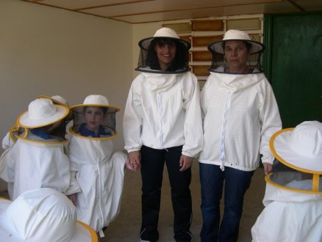 Preme para ver a foto ampliada