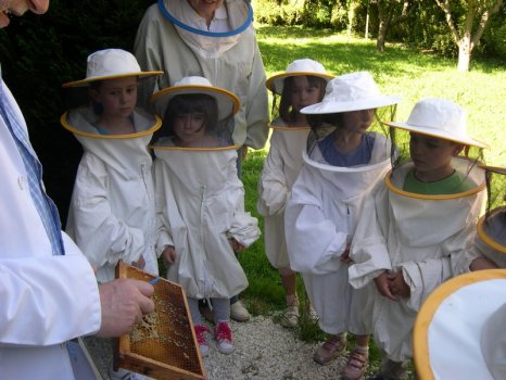 Preme para ver a foto ampliada