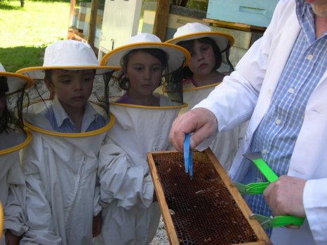 Preme para ver a foto ampliada