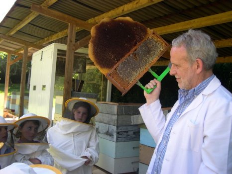 Preme para ver a foto ampliada