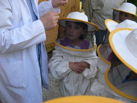 Preme para ver a foto ampliada