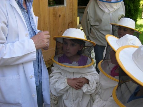 Preme para ver a foto ampliada