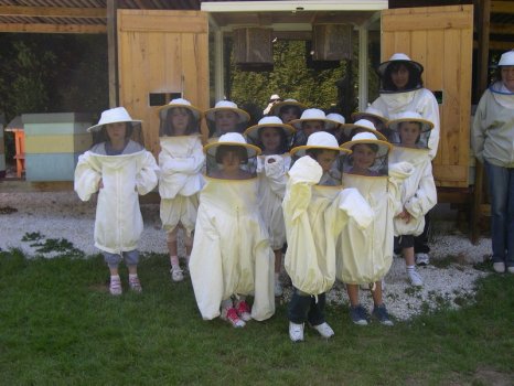 Preme para ver a foto ampliada