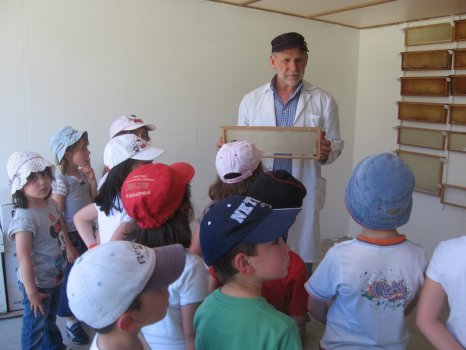 Preme para ver a foto ampliada