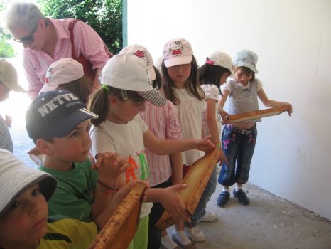 Preme para ver a foto ampliada