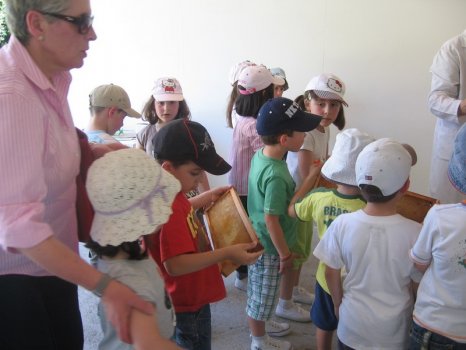 Preme para ver a foto ampliada