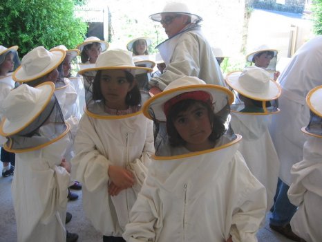 Preme para ver a foto ampliada