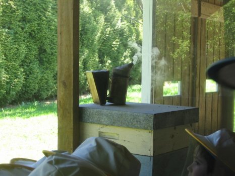 Preme para ver a foto ampliada